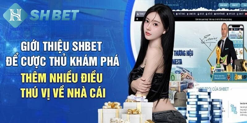 Định hướng phát triển tương lai của Shbet